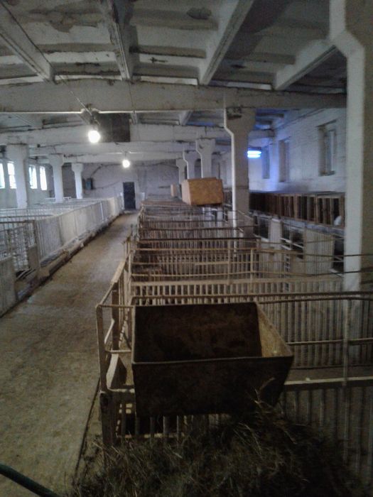 Продам отдельностоящую животноводческую ферму в Криворожском районе