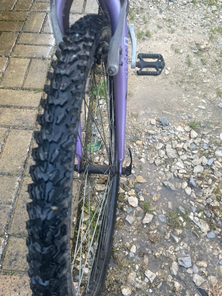 Bicicleta TEAM VENDO