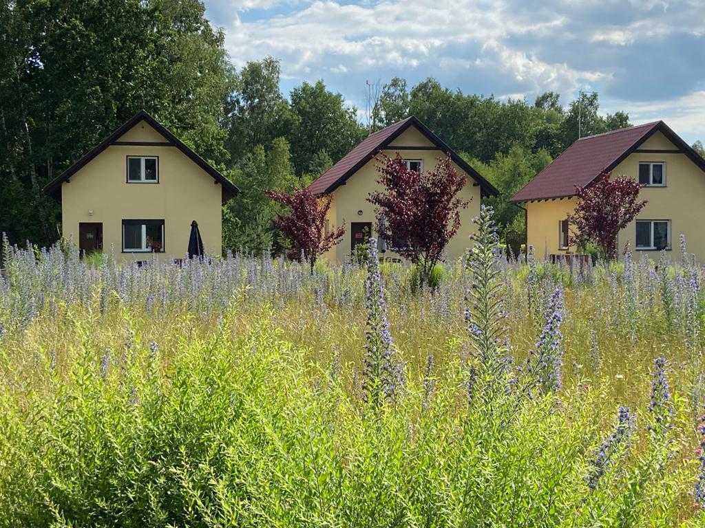 Bednarzówka - dla miłośników przyrody i pracowników | WOLNE W LIPCU