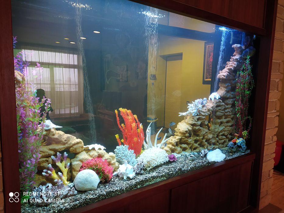 Аквариумы под заказ Киев