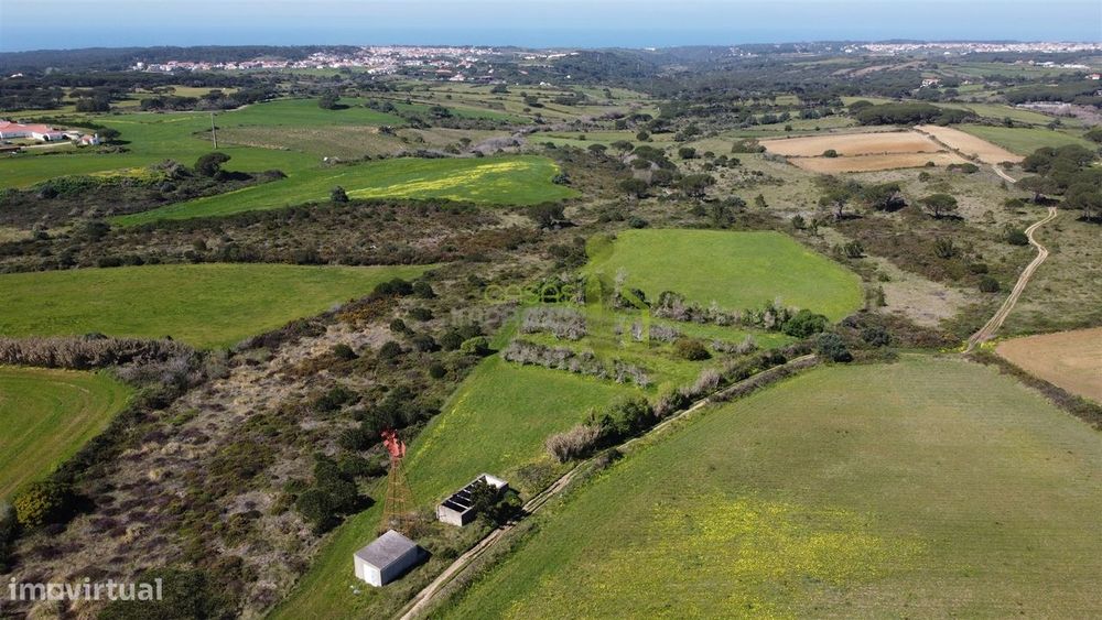 Terreno Rústico com Vista Mar e Serra – Sintra