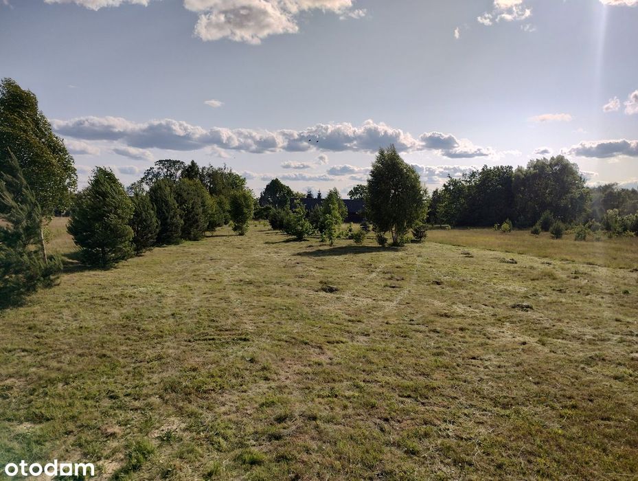 Ładna działka z WZ, wodą przy asfalcie Strachówka