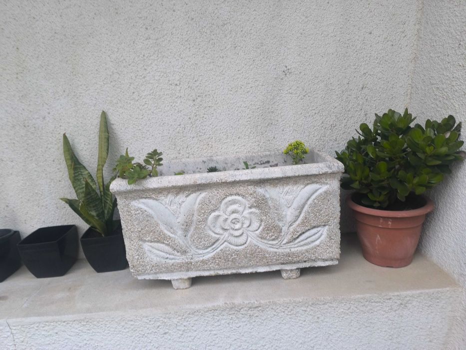 Canteiro para flores