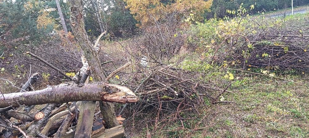 Drewno ,chrust gałęzie