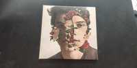 Album Shawn Mendes