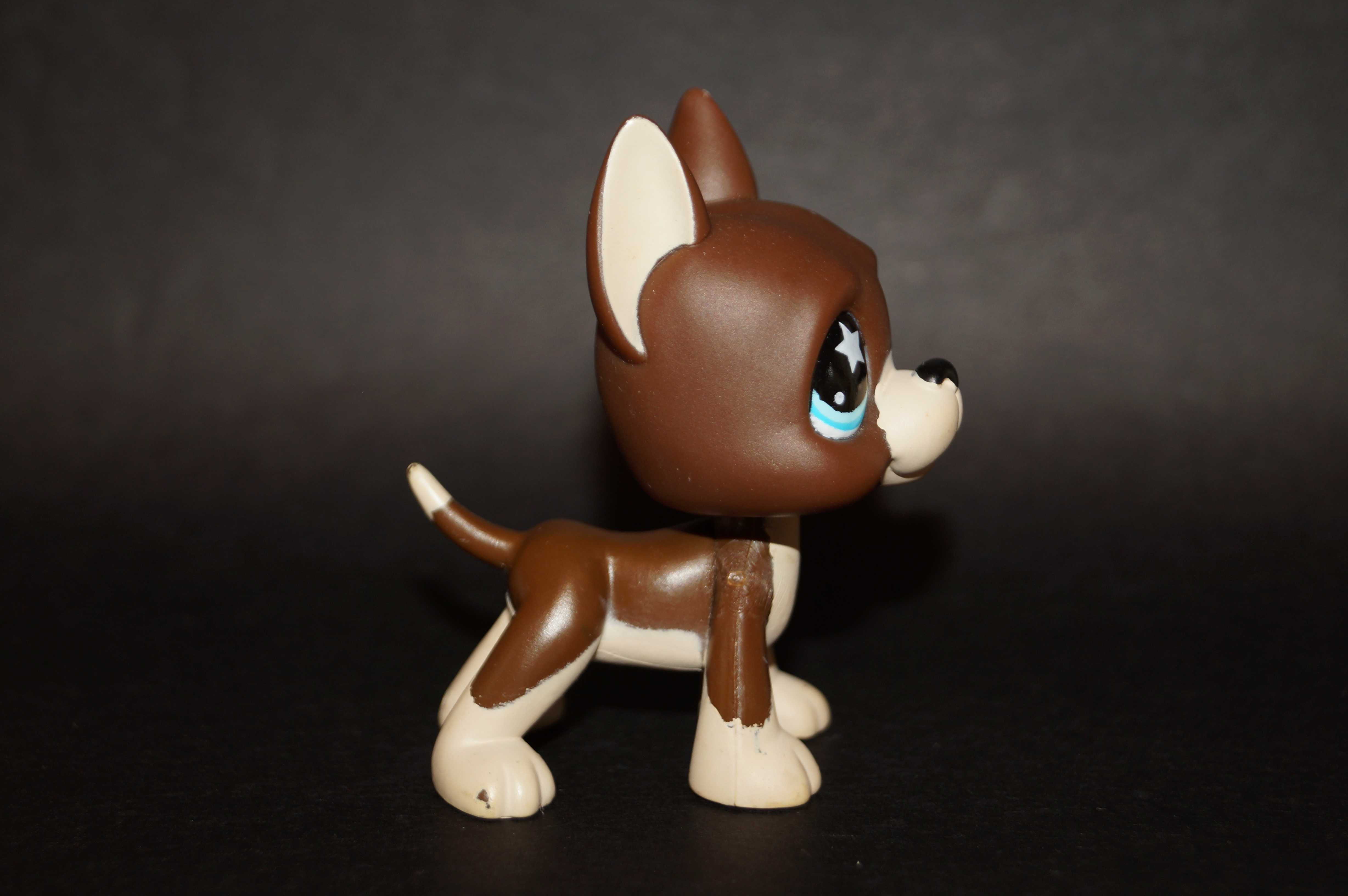 Littlest Pet Shop #817/1 dog LPS oryginał 100% pop