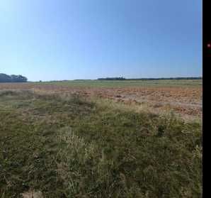 Wyjątkowe gospodarstwo rolne nieopodal lasu