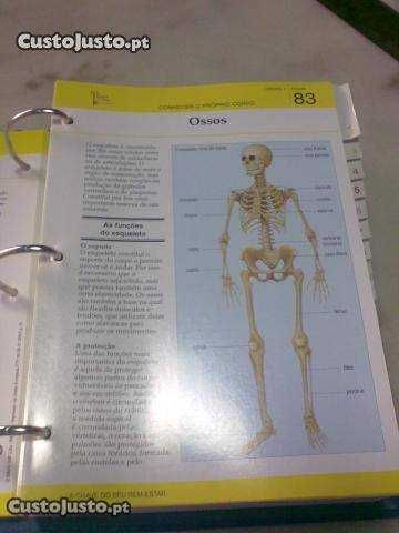 Enciclopédia - Guia Familiar da Saúde (4 volumes) - ÚLTIMOS DIAS