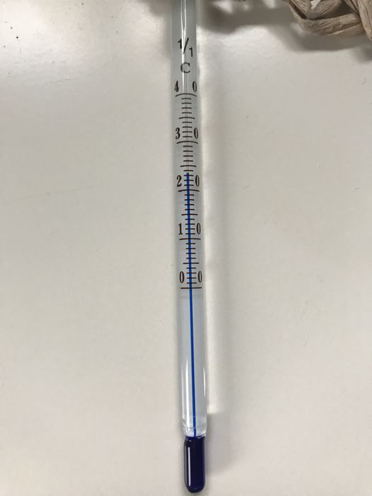 Termometr do akwarium