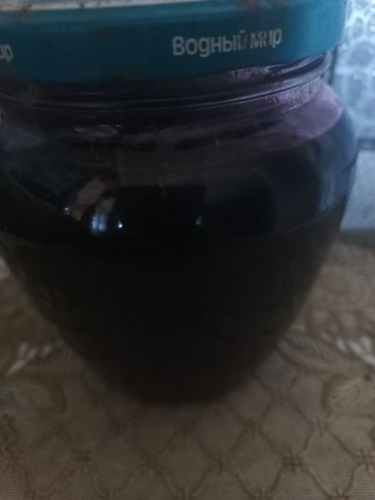 Варенье из черной бузины.