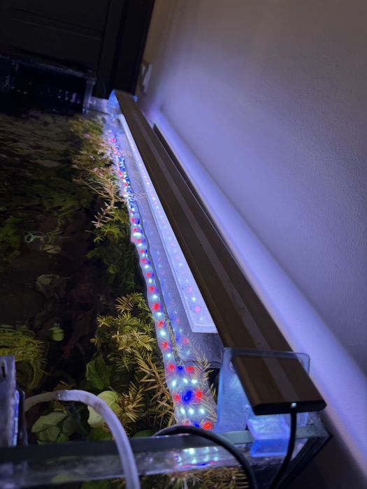 Akwarium 200l z szafa