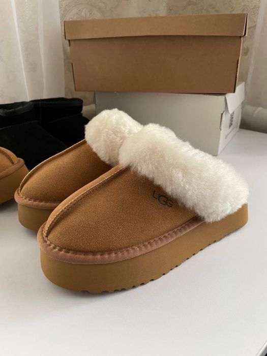 Знижка Black Friday Уггі, ugg, угги тазз, трендова модель