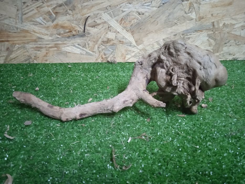 Korzeń do akwarium Red Moore Wood nr 749 o wymiarach 30/10/10