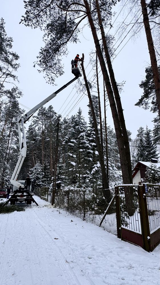 Wycinka Drzew Pielęgnacja Drzew Karczowanie Koszenie trawy Rzgów