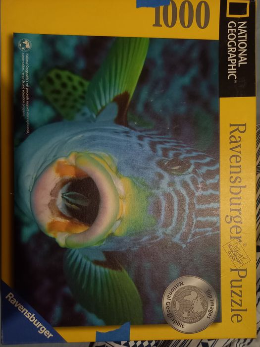 Puzzle 1000 szt. Ryby