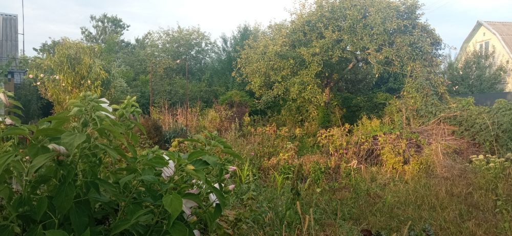 Продам дачу у ст Труд