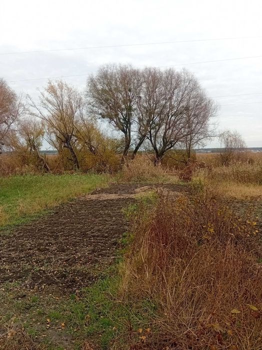 Дом в Змиеве — отличное место для жизни!