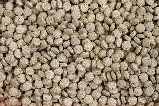 mini vegetaltablet pokarm roślinny dla ryb 100g