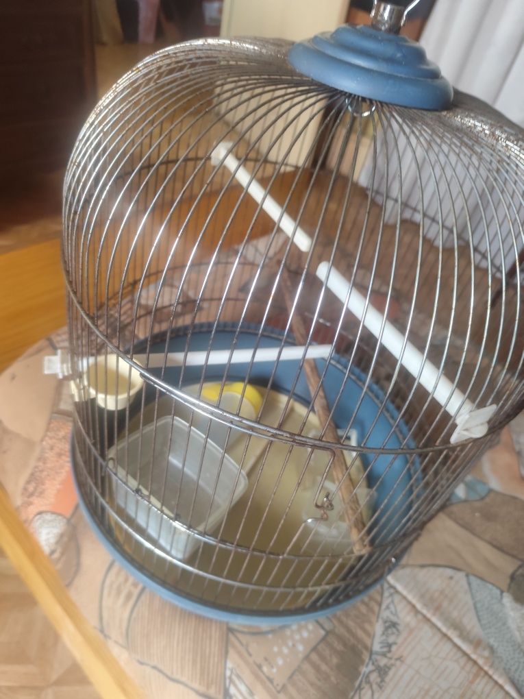 Gaiola para pássaro com acessórios