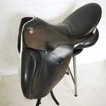 Sela Kieffer Ulla Special muito bom estado Cavalo Dressage