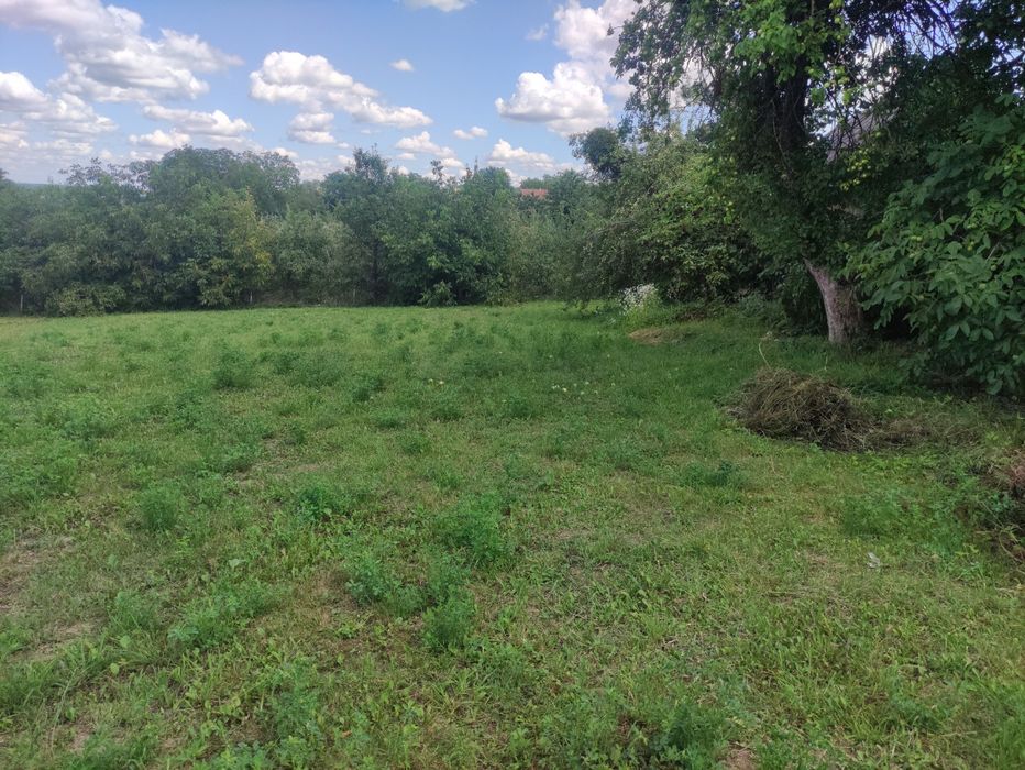 будинок Вороновиця