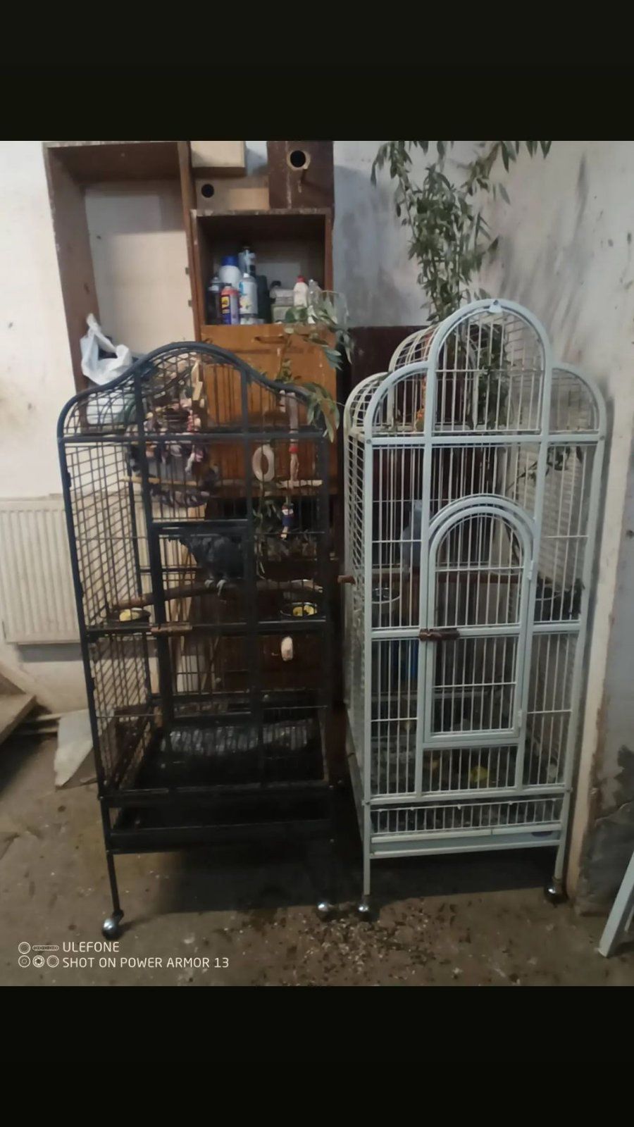 Клітки для папуг
