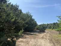 Sprzedam działkę 2500 m²-media, przy lesie, WZ, 1h od Warszawy