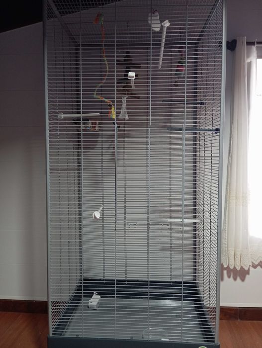 Vendo gaiola de aves