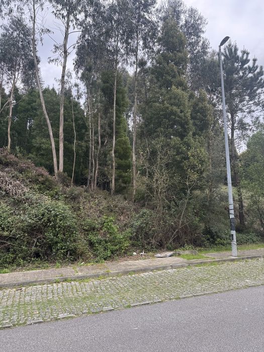 Vendo terreno para construção, excelente oportunidade