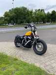 Harley-Davidson Sportster Forty-Eight Harley-Davidson Sportster XL1200X Forty Eight