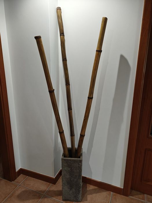 Vaso com canas de bambu