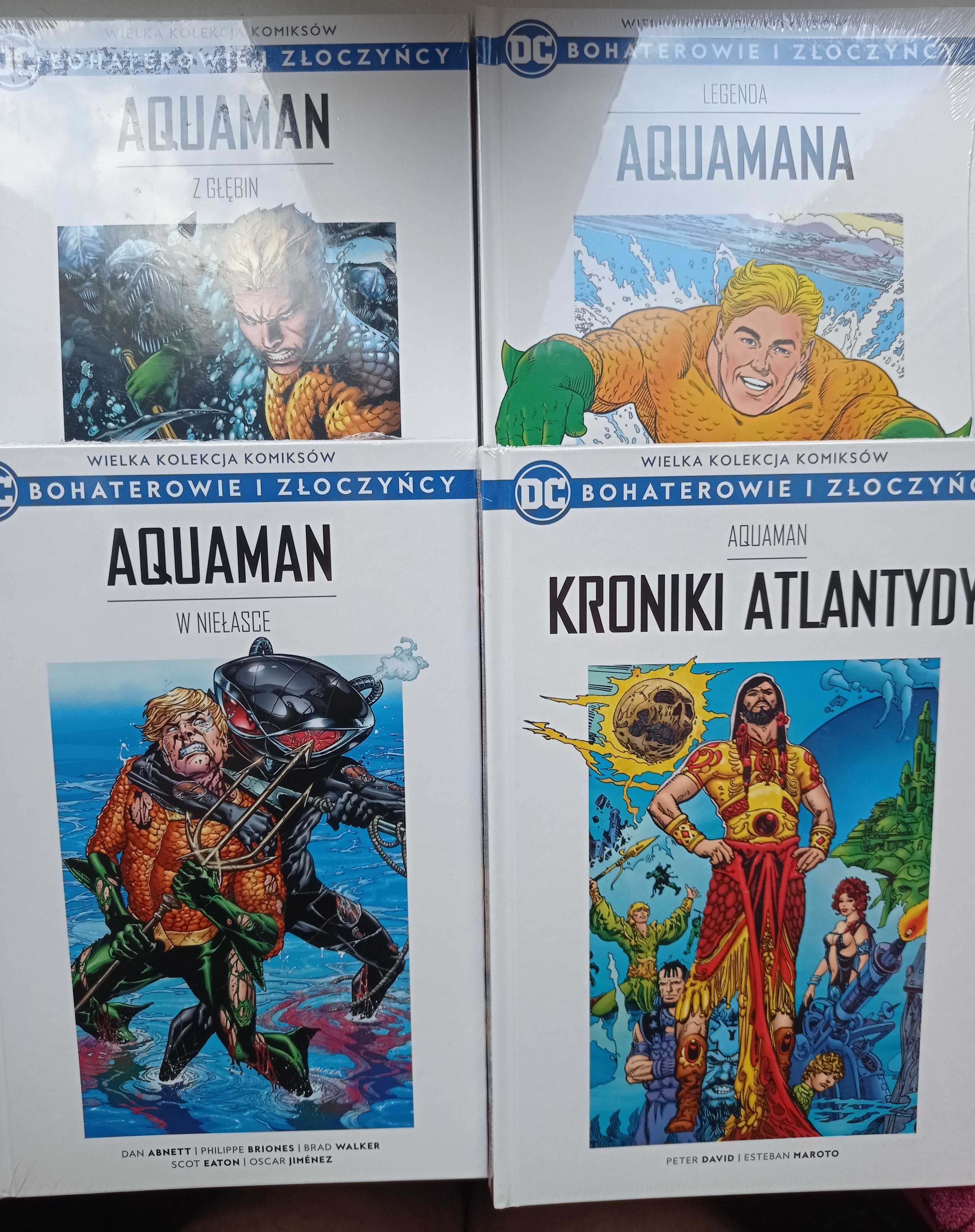 Aquaman Bohaterowie i Złoczyńcy DC kolekcja Hachette