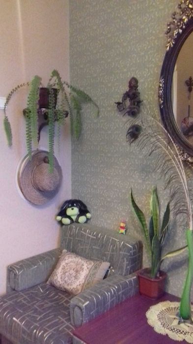 Продаж 3-кімнатної квартири в самому центрі Броварів.