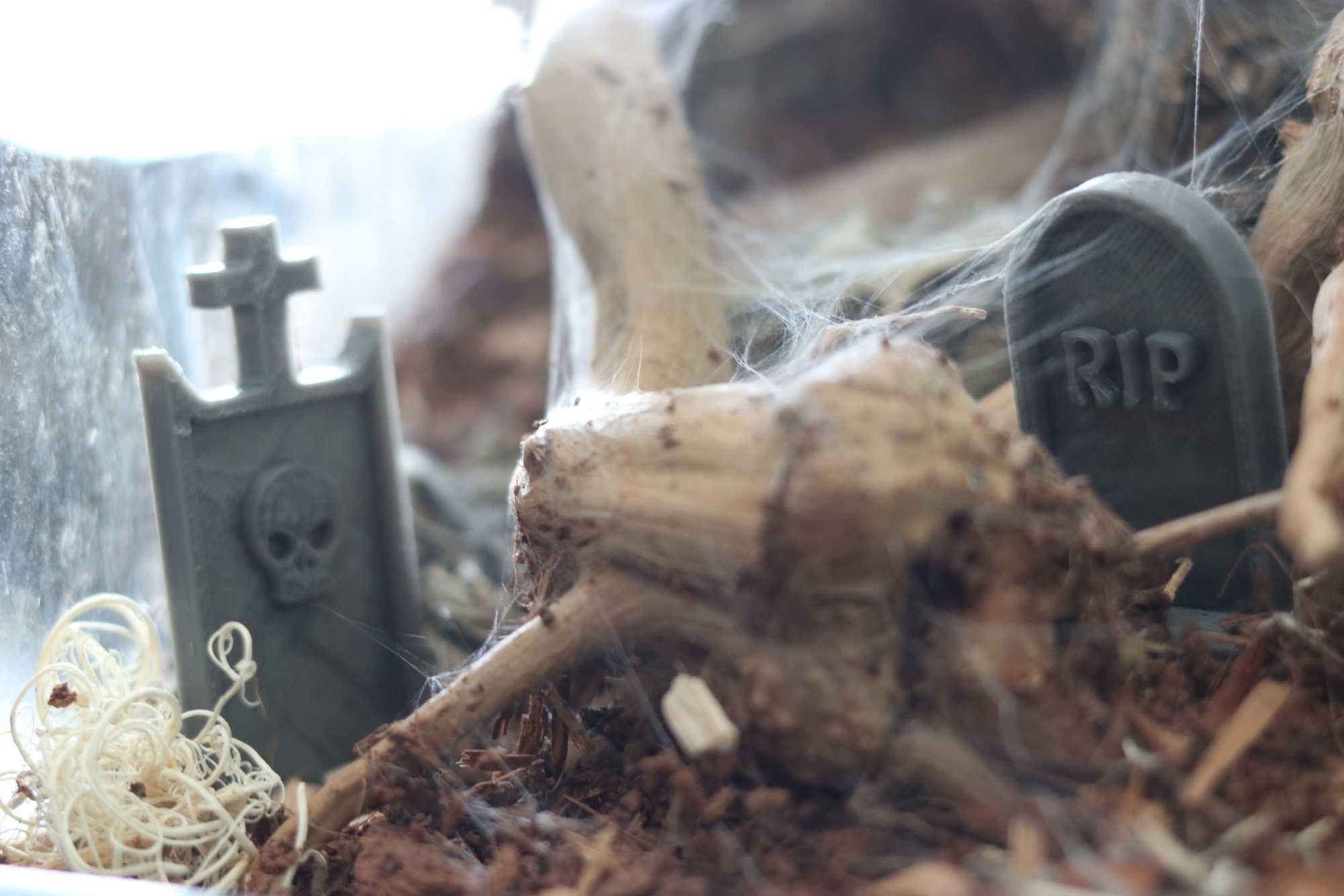 Akcesoria do terrarium - nagrobki, elementy wystroju dla pająków