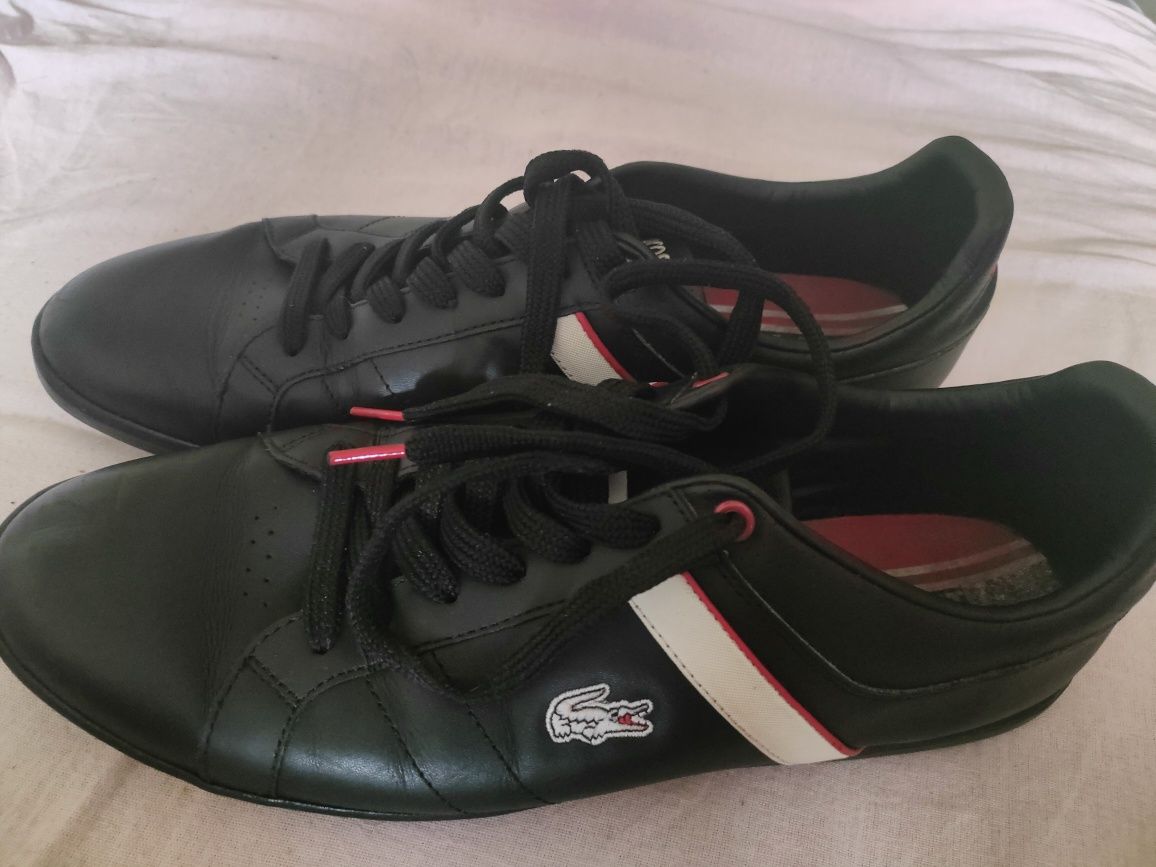 Lacoste evershot pit spm buty