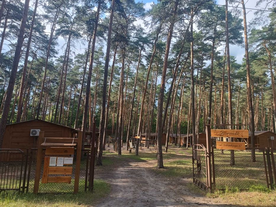 ZABAWA ANDRZEJKOWA - Noclegi w domkach całorocznych ogrzewanych