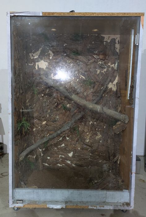 Terrarium pionowe, duże