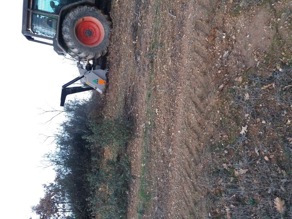 Serviços Agrícolas e Florestais