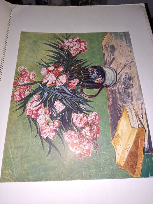 Vincent van Gogh reprodukcje