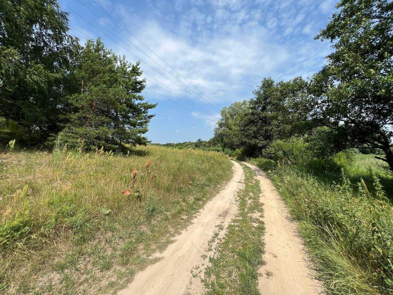 Продаж ділянки 3,11га (ОСГ). Поруч каскад озер.Фастівський р-н. ID:446