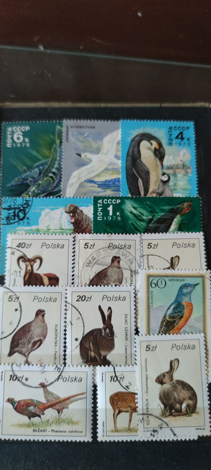 Klaser z 77 znaczkami ze zwierzętami z całego świata . Unikaty