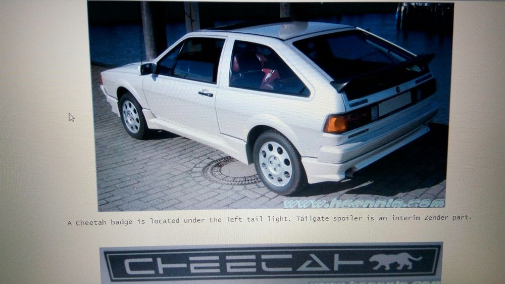 Колеса MICHELIN TRX от VW Scirocco Cheetah 1983-84 R365mm