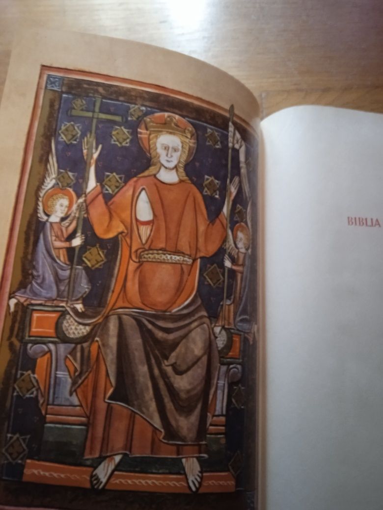 Vendo bíblia sagrada grande tem a capa a despegar mas está em bom est