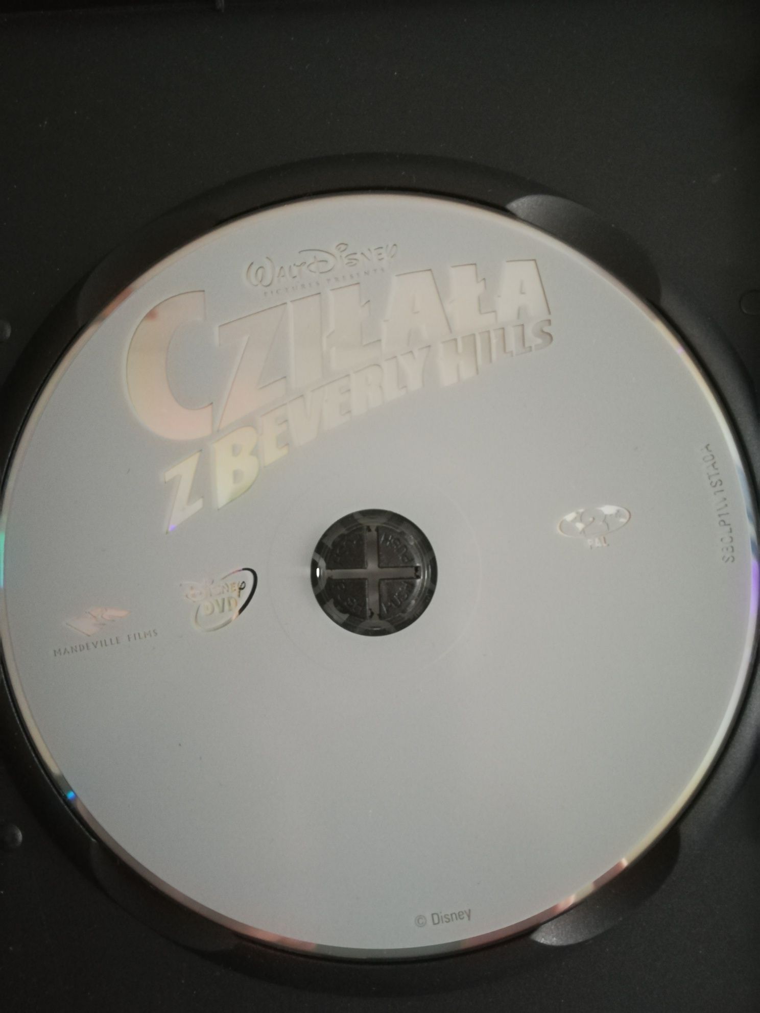 Cziłała z Beverly Hills (Beverly Hills Chihuahua) (DVD)