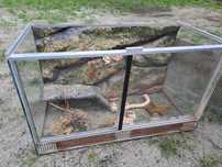 Terarium, samoróbka, 60x30x36