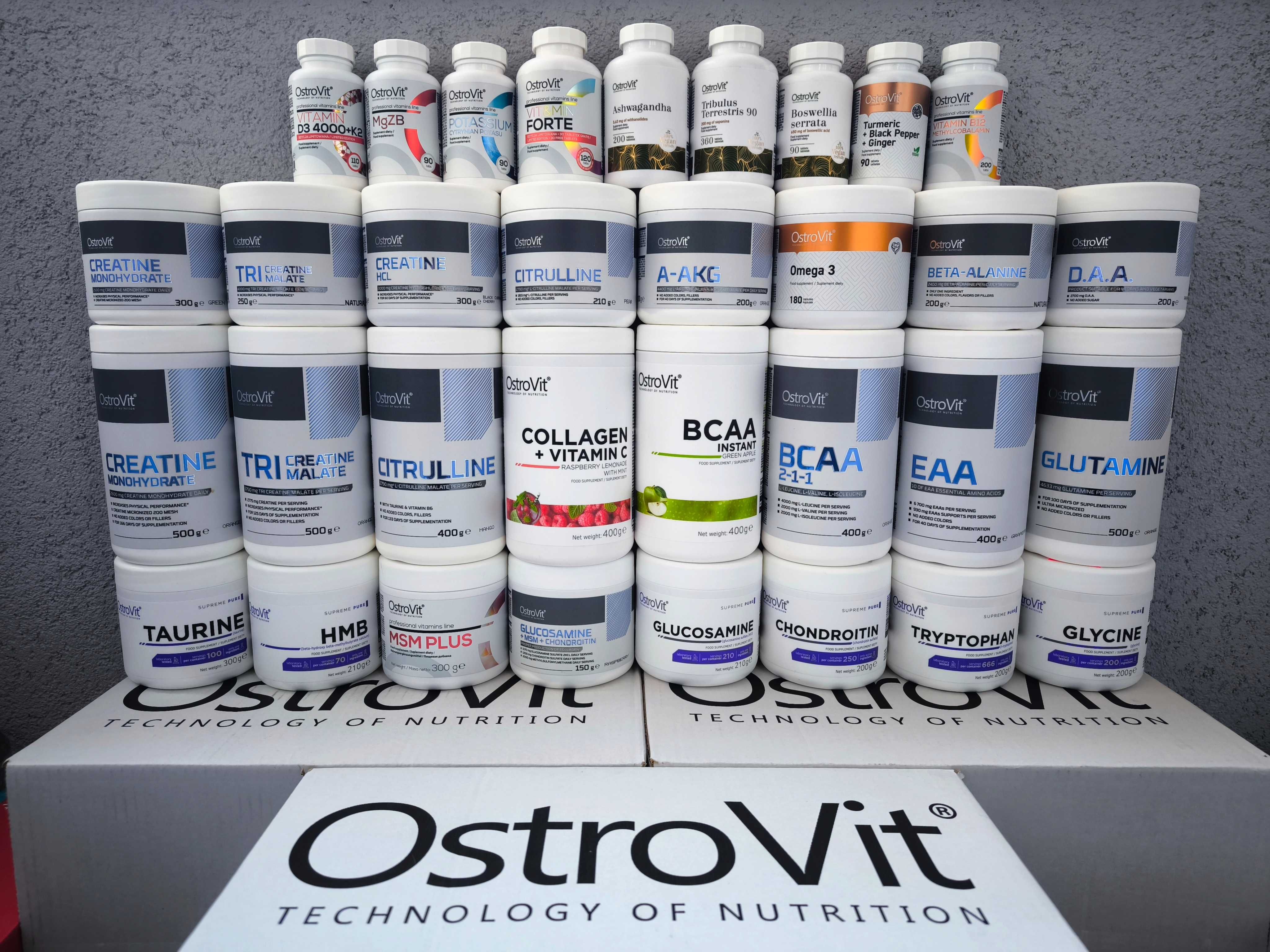 Міцелярний казеїн ( протеїн ) OstroVit білок протеїн, креатин, гейнер