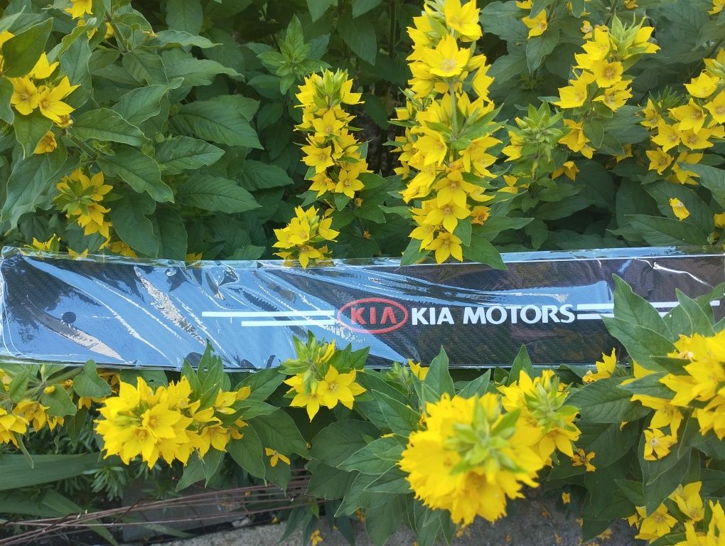 Комплект карбоновых наклеек 4 шт.на пороги для авто Kia всех моделей