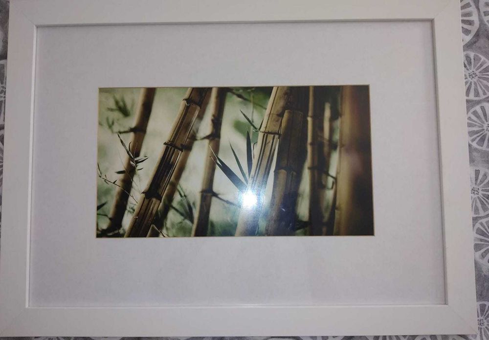 3 quadros com moldura branca