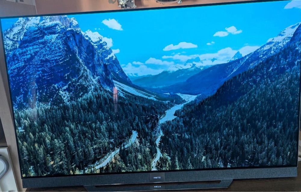 OLED 55 METZ!ціна договірна.