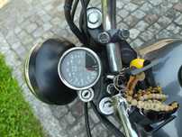 Yamaha 125SR poder em duas rodas